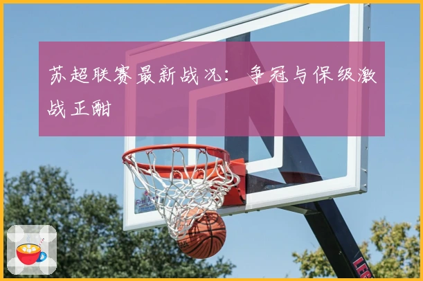 苏超联赛最新战况：争冠与保级激战正酣